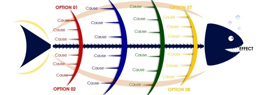 Outlines of the functional medicine approach - How is functional medicine done ? 